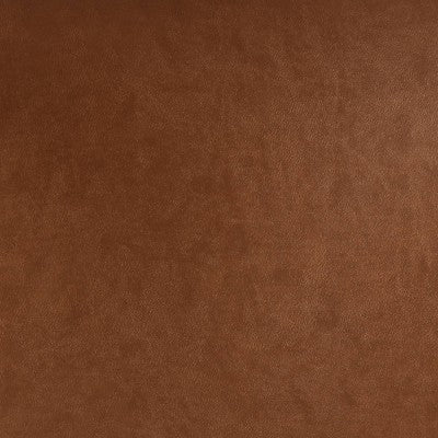  2pk Bowden Dining Chair With Arms Caramel Faux Leather - Project 62™