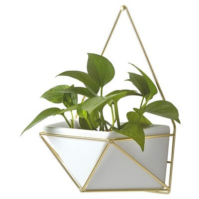  Succulent Wall Geometric Hanging White/Gold - Project 62™