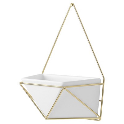  Succulent Wall Geometric Hanging White/Gold - Project 62™