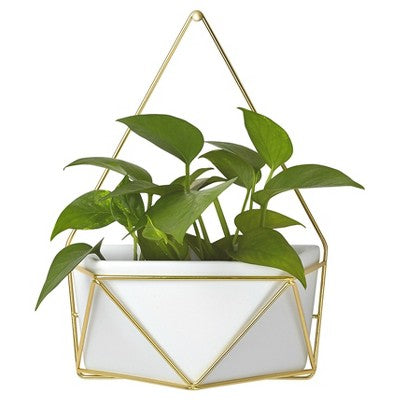  Succulent Wall Geometric Hanging White/Gold - Project 62™